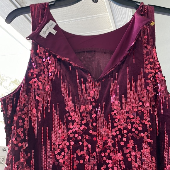 NWT Emerald Sundae Sequin Dress - Picture 5 of 8